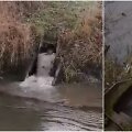 I&scaron; Žiežmarių nuotekų valyklos tekėjo ter&scaron;alai