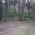 Vieta, kurioje rastas lavonas