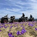 &bdquo;ATV Turizmo&ldquo; stovykla Rumunijoje