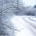 Sekmadienis Varnikų pažintiniame take