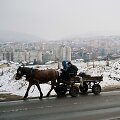 Arklio tempiamas vežimas Bulgarijos sostinės priemiestyje