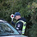 Kauno apskrities policijos patikros