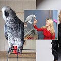 Beta Rum&scaron;ienė su papūga Žaku