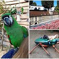 Lenkiją i&scaron;mai&scaron;iusi lietuvių &scaron;eima pateikė TOP10 muziejų, kurie patiks vaikams