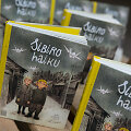 Knygos &bdquo;Sibiro haiku&ldquo; pristatymas