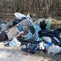 &Scaron;iuk&scaron;lės Ukmergės rajono mi&scaron;kuose
