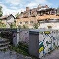 Piktžolės Panevėžyje
