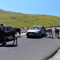 Kelionė automobiliu
