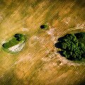 Lietuvą kamuoja sausra