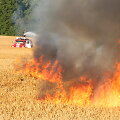 Degantis rugių laukas