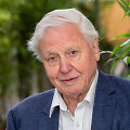 Davidas Attenborough