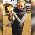 Nuo praeitų metų vasaros Paplauskų sodyboje Kėdainių rajono Pajieslio kaime gyvena gandrė