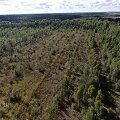 Žaliasis raistas Kai&scaron;iadorių r.