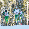 2017 m. pasaulio slidinėjimo čempionatas: skiatlono varžybos.