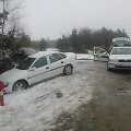 Lazdijuose sulaikytas kelių gaidelis