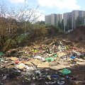 Tai atrodė nelegalus sąvartynas VU teritorijoje vos prie&scaron; kelias dienas.