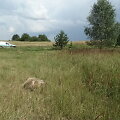 Įvykio vietoje