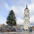 Į Vilniaus Katedros aik&scaron;tę atvežta gyva Kalėdų eglė