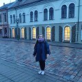 Menininkės Monikos Balu paroda &bdquo;Garsinė komunikacija&ldquo; 