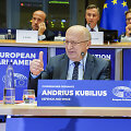 Andriaus Kubiliaus klausymai Europos Parlamente
