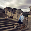 Elizabeth II su savo korgiais