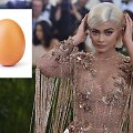 Populiariausios &bdquo;Instagram&ldquo; nuotraukos titulą i&scaron; Kylie Jenner nugvelbė &scaron;is paprasčiausias rudas kiau&scaron;inis