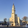 Rotu&scaron;ė, kuriame įsikūręs Kauno miesto muziejus