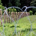 Spygliuotos vielos užtvara ties siena su Baltarusija