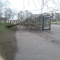 Kaune praūžė vėtra