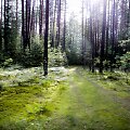 Kelionė dviračiu po Neries regioninį parką