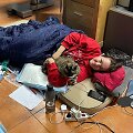 Veterinarė įamžino savo augintinio kovą su pavojinga liga