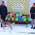 Panevėžio gyvūnų globos draugijos prieglaudoje