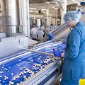 Kooperatyvas &bdquo;Grybai LT&ldquo; ketvirtadienį &Scaron;irvintose atidarė robotizuotą maisto gamyklą