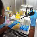 Laboratorija Indijoje