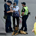 Kijevas