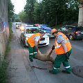 Naujojoje Vilnioje automobilis patrenkė stirną