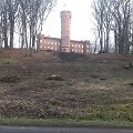 Atlikus kra&scaron;tovaizdžio formavimo kirtimus, nuo kelio Kaunas-Jurbarkas atsivėrė pilis. Česlovo Me&scaron;kausko nuotrauka