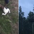 Pilieti&scaron;ki marijampoliečiai i&scaron;gelbėjo gandrą