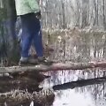 Vaizdo įra&scaron;ą su pažeidimais pavie&scaron;inęs parkas įspėja, kad lankytojai sulauks baudų
