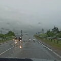 Gulbės kelyje