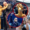 Pitbull