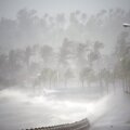 Taifūnas Hagupit pasiekė Filipinus 