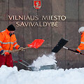Vilniaus miesto savivaldybė