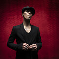 Ville Valo (VV)