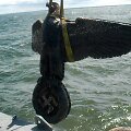 Erelio skulptūros i&scaron;kėlimas i&scaron; jūros dugno