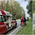 Kauno rajone paramedikai ir policija gelbėjo keliu įėjusį arklį