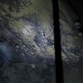 Prane&scaron;ama, kad gyvūnų bendruomenė ant riedulio (nuotraukoje) yra pirmoji, matyta ant kieto pagrindo taip giliai po ledyno &scaron;elfu