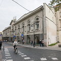 Naktinis Vilniaus avilys