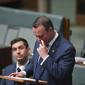 Timas Wilsonas Australijos parlamente