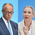 Friedrichas Merzas, Alice Weidel